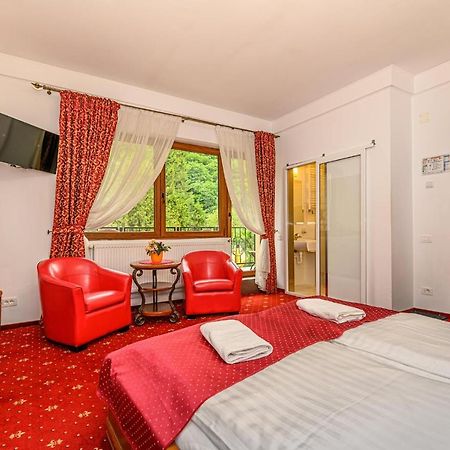 Panoramic Center Rooms Брашов Екстериор снимка